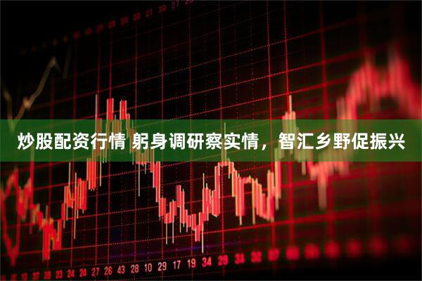 炒股配资行情 躬身调研察实情，智汇乡野促振兴
